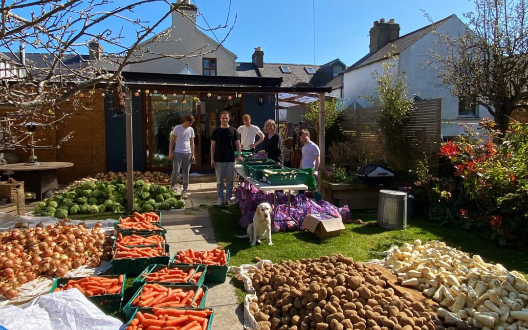 From Farm to Classroom: How Good Grub is Tackling Food Insecurity Amid COVID-19